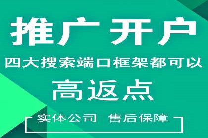 专业SEM代运营托管公司案例分析